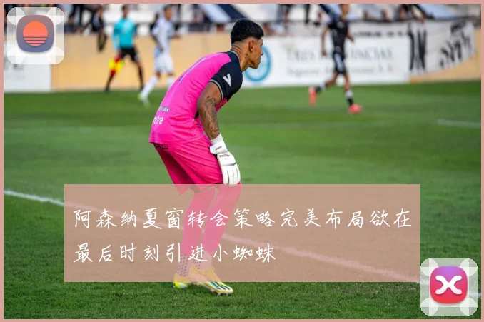 阿森纳夏窗转会策略完美布局欲在最后时刻引进小蜘蛛