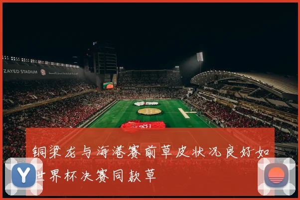 铜梁龙与海港赛前草皮状况良好如世界杯决赛同款草