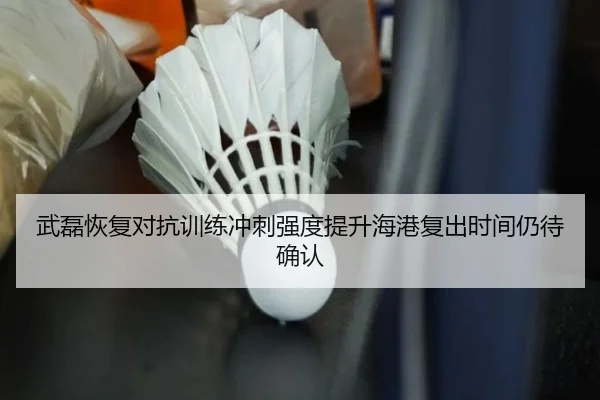 武磊恢复对抗训练冲刺强度提升海港复出时间仍待确认