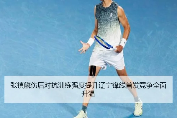 张镇麟伤后对抗训练强度提升辽宁锋线首发竞争全面升温